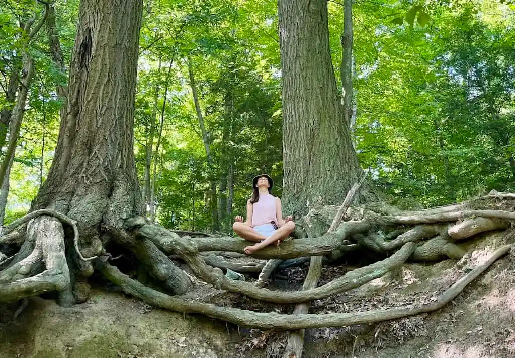 Peaceful nature meditation