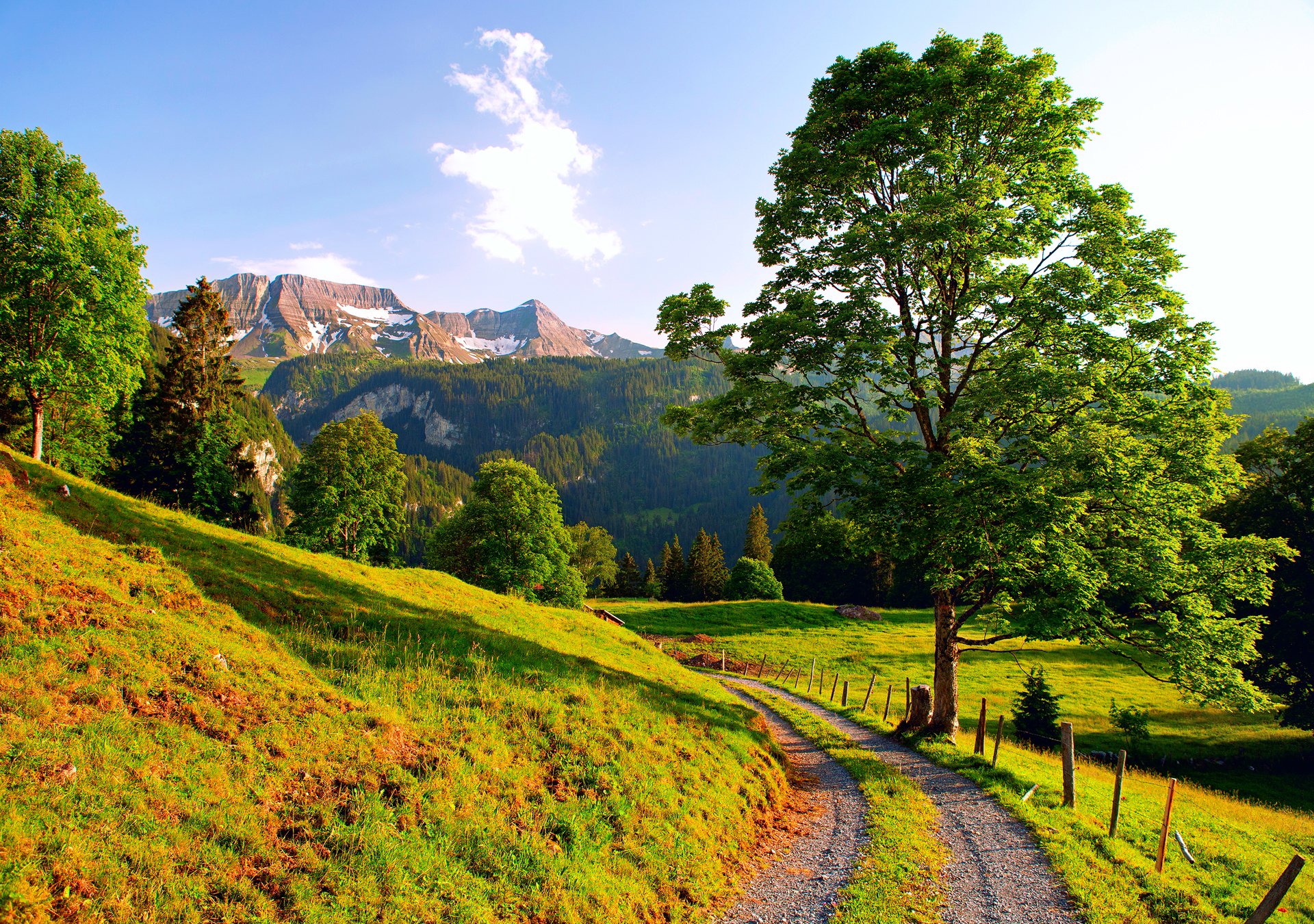 Serene mountain landscape